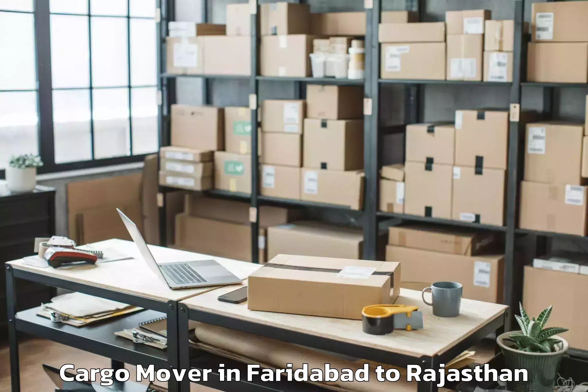 Faridabad to Salumbar Cargo Mover Booking